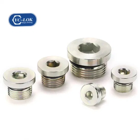 Steel 4bn-Wd Bsp Male Thread Captive Seal Hollow Hex Head Plug